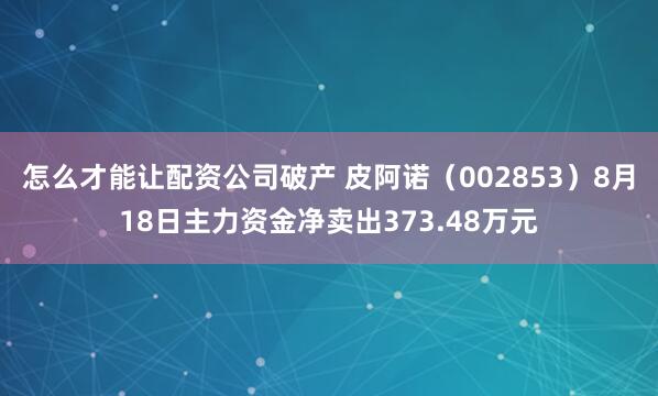 怎么才能让配资公司破产 皮阿诺（002853）8月18日主力资金净卖出373.48万元